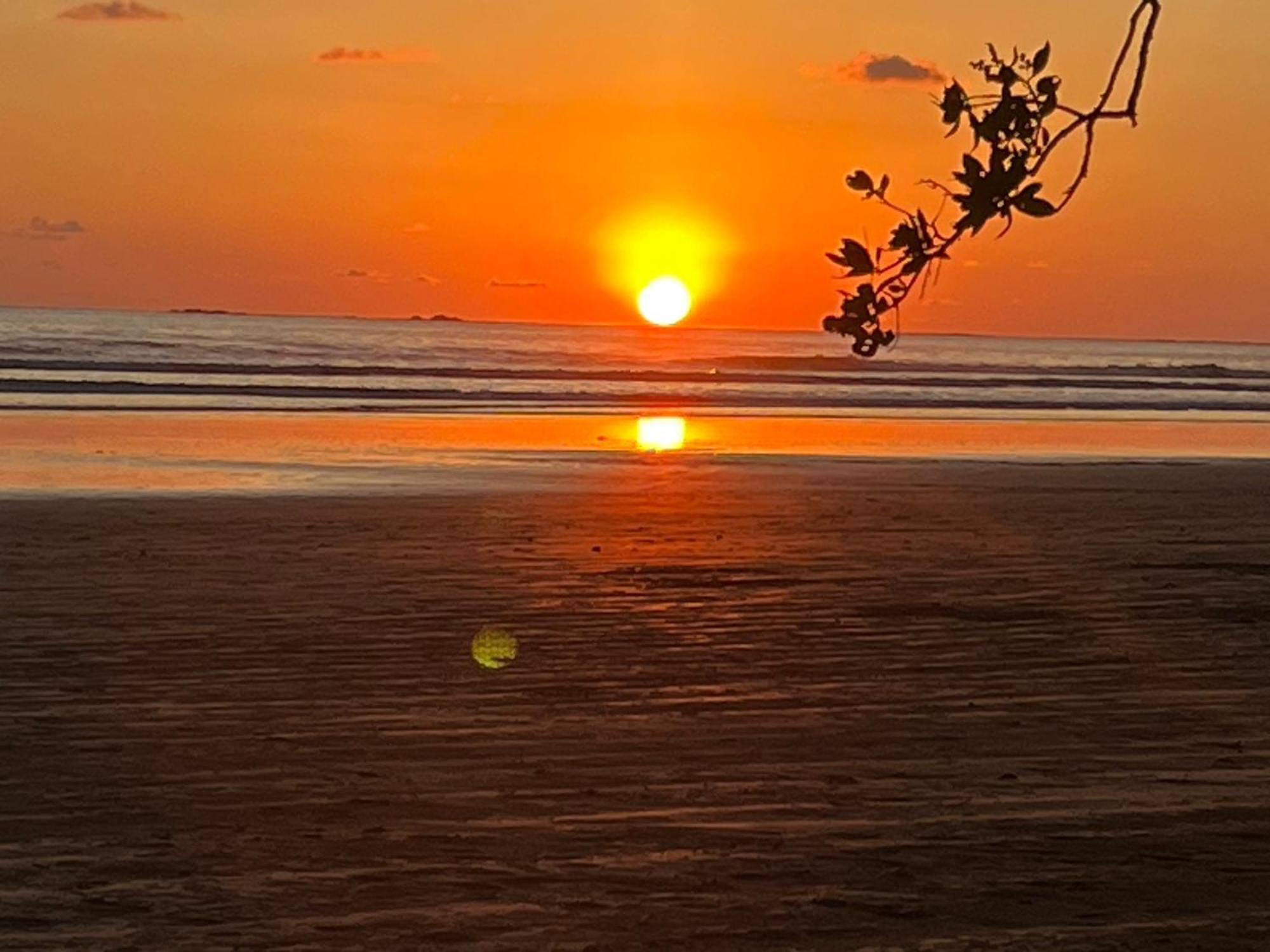 Cabana Valfio Bahia Ballena Uvita Dış mekan fotoğraf